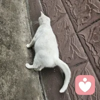 🌹🌹🌹缘起，我在人群中看见你，
🌹🌹🌹缘灭，我看见你在人群中。
❤️❤️❤️如若流年有爱，就心随花开。
❤️❤️❤️如若人走情凉，就守心自暖。配图