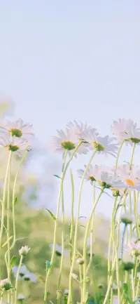 宇宙山河浪漫，生活點(diǎn)滴溫暖，都值得我前進(jìn)。配圖