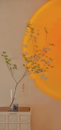 擺個(gè)小攤，販賣溫柔配圖