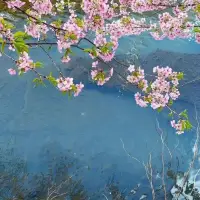 生活或許不盡如人意，但總有溫暖在不經意間出現，療愈你的心靈配圖
