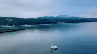 如果能忘掉未來，過去也就很自然的變得無關(guān)緊要；享受生命的旅程，就是活在當下，慢下來，活在此時此刻。晚安！