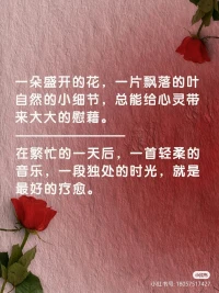 愿我們都能擁抱生活

用心感受每一個細微的美好

在這個充滿希望與活力的季節里

與草木一同欣榮生長配圖