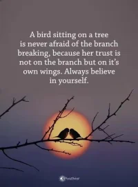 A bird sitting on a tree is never afraid of the branch breaking, because her trust is not on the branch but on it's own wings. Always believe in yourself.
鳥兒坐在枝頭上，從不擔心樹枝會折斷，因為它信任自己的翅膀而非樹枝
請一直相信自己！配圖