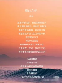 音樂最重要的作用，就是承載了日常生活中不能輕易表露和宣泄的情緒。語言是有邊界的，音樂卻可以抵達相似的靈魂。

《清白之年》這首歌是樸樹去參加小學同學聚會前寫下的，想以此祝福自己的同學們以及所有紅塵奔波的人們，能夠生活幸福美好，不要辜負了這清白之年。配圖