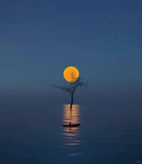 高敏感者在面對現實刺激時，過分強烈的情緒反應，其實都折射出了ta內心對完美、安全的極度渴望，這也就是為何我們會發現，一個表面看起來十分自卑，總覺得自己一無是處的人，往往某些時刻反而會展現出截然相反的自負與自戀，會忽然高傲到感覺整個世界都配不上自己的深刻與孤獨。配圖