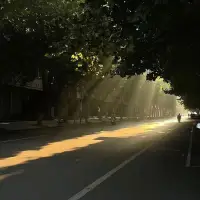不自信很大一部分來自于原生家庭，年幼時被經常被說教，卻很少得到家長、老師、同學的正面反饋，導致了長大后也很難自信起來，如果沒有正確的引導，自卑的心理很難消除。配圖