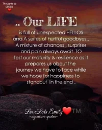 Our Life is full of unexpected HELLOS and A seriesof hurtful goodbyes.. A mixture of chances , surprises and pain always await TO test our maturity & resilience as it
prepares us about the journey we have to face while we hope for happiness to standout in the end ..配圖