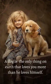 Can't agree more with this，配圖