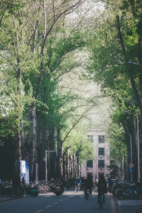商業(yè)的本質(zhì)是零和博弈嗎？我想這是一個特定時期和客觀條件下的產(chǎn)物，我更傾向于宏觀經(jīng)濟學(xué)的帕累托最優(yōu)解，萬事萬物的存在無一不是博弈均衡，人生也是如此，零和游戲的思想的結(jié)果總是強調(diào)強化有人贏有人輸，于是得失就成了心頭大患，生活與工作，愛與被愛，理性與感性，意義與現(xiàn)實，過去與將來，我們的生活，心靈會亂了，煩了，倦了，累了，不是我們變了，是我們忘了，很多時候，我們需要的不是建議，不是說教，我們需要的是提醒，生而為人，我們在一個無比嘈雜的環(huán)境里選擇和博弈，我們需要的是一種平衡！配圖