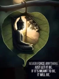 何為接納？接納就是告訴自己應該去允許一個人或者一件事的存在嗎？只是告訴自己一個信念嗎？我的理解是，如果僅僅是以上的做法不是真正意義的或者有成長的接納，接納是跳出固有的思維模式，跳出問題本身，站在一個更高維度，或者說更長時間維度的觀察，理解并且允許，特別是當我們逐漸地獲得了能將負面的，對立的，矛盾的，痛苦的視角從一個積極地角度去重新審視，并且因此而獲得了具有靈性意義的智慧般的接納，這恐怕才是真正意義的接納！
The rigjt way to realease the negative emotion and truly learn something behind the emotion is not only digesting it bit also accepet it rationally.配圖