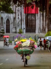 生活本就不易，誰不是在負重前行，誰不是一路哭著笑著走過那些冰冷苦楚的日子？
有時候，真的是累，只是累不知如何說出口。沒人會懂我們的焦慮，明白我們找不到方向的迷茫，其實，我們也不知道應該如何前行。或許，未來的自己也會感謝今天自己的不放棄！
這個浮華的世界，誰都有自己的無可奈何，荊棘坎坷！別輕易妥協，人生短暫，愛你所愛，行你所行，聽你所行，就無問西東！生活不易，各自珍惜！配圖