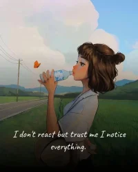 此刻，腦海中有一個旋律在回蕩，就是想不起歌名，但是，Big But,I Do Trust, you Will find it , For Sure!配圖