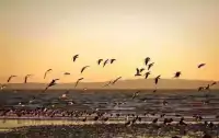 人為什么要讀書？


簡單舉個例子：
當你看到下圖夕陽余暉…

你的腦海浮現的是：
“落霞與孤鶩齊飛，秋水共長天一色。”

而不是：“臥槽，這么多鳥，真好看，真他媽太好看了！”[憨笑][憨笑][憨笑]配圖