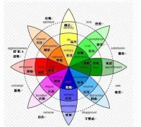 你永遠可以相信你的情緒！
研究發現，你真正感受到的遠遠比你想的和說的重要得多。你的情緒從來不會撒謊。它是你的思想的真實顯現，無論你是否按照真我的意愿在行動，它都是你真心實意的想望。

不要忽視你的情緒，也不要試圖壓抑你的情緒。首先，你要做的就是關注它。如果它不在積極的范圍之內(希望，期待，接納，感激，愛和快樂)，那么或者選擇釋放它；或者，更簡單地，去選擇一個好一點的想法，選擇去想一些開心的事情，創設好一點的情緒感受；或者放下你正在做的事情，去做一些你喜歡的事情，去散散步，聽聽音樂，跟自己的貓玩一會兒，讓自己重新回到積極的情緒范圍之內。配圖