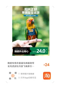 搜索了一晚上，和來訪者搞定了小鳥飛行服加飛行繩，安全又好玩！再也不用擔心鳥兒飛跑了，好開心(*^▽^*)，養寵物的樂趣是真的很多！配圖