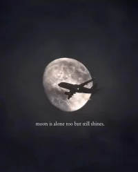 可能是事情太多 ，占據(jù)了生活太多時間 ，所以才會總是熬夜 ，想要在四下無人的夜里 ，享受一些真正屬于自己的時間 ，誰不想在生活里喘口氣 。配圖