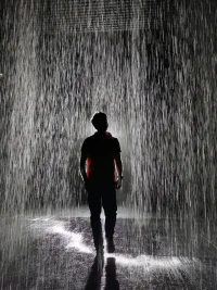 在雨中 看見你的身影
突然那么悲傷 那么瘋狂
剎那間 往事涌上心頭
時光飛逝 掉進(jìn)了回憶
有一次 一起去看電影
那個故事 感人肺腑
還記得 你流著眼淚
在黑暗中 我們緊緊相擁
在這場淅瀝瀝 嘩啦啦 紛紛揚(yáng)的雨中
我們還能不能像從前那樣 緊緊相擁
在一切甜蜜的瘋狂的 都遠(yuǎn)去的今天
我們還能不能像昨天那樣擁抱在雨中
在雨中 想起你的模樣
感覺那么溫暖 那么哀傷
剎那間 你似乎就在眼前
一切好像 回到了從前
很多次 一起走在雨中
那個情景 浪漫如夢
還記得 你總是靠著我肩膀
在雨中 我們緊緊相擁
在這場淅瀝瀝 嘩啦啦 紛紛揚(yáng)的雨中
我們還能不能像從前那樣 緊緊相擁
在一切甜蜜的瘋狂的 都遠(yuǎn)去的今天
我們還能不能像昨天那樣擁抱在雨中
在這場淅瀝瀝 嘩啦啦 紛紛揚(yáng)的雨中
我們還能不能像從前那樣 緊緊相擁
在一切甜蜜的瘋狂的 都遠(yuǎn)去的今天
我們還能不能像昨天那樣擁抱在雨中配圖