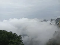 當(dāng)火車開入這座陌生的城市
那是從來就沒有見過的霓虹
我打開離別時你送我的信件
忽然感到無比的思念
看不見雪的冬天 不夜的城市
我聽見有人歡呼 有人在哭泣
早習(xí)慣穿梭充滿誘惑的黑夜
但卻無法忘記你的臉
有沒有人曾告訴你 我很愛你
有沒有人曾在你日記里哭泣
有沒有人曾告訴你 我很在意
在意這座城市的距離
看不見雪的冬天 不夜的城市
我聽見有人歡呼 有人在哭泣
早習(xí)慣穿梭充滿誘惑的黑夜
但卻無法忘記你的臉
有沒有人曾告訴你 我很愛你
有沒有人曾在你日記里哭泣
有沒有人曾告訴你 我很在意
在意這座城市的距離
有沒有人曾告訴你 我很愛你
有沒有人曾在你日記里哭泣
有沒有人曾告訴你 我很在意
在意這座城市的距離配圖
