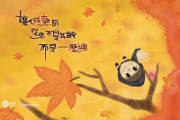 今天的我們處在一個什么樣的時代？
因為經歷過紅利時代，所以對現在的情況特別不能接受。在成功者的字典里，不升就是降，不進就是退。之所以會抑郁，之所以控制不住情緒，是比較出來的，跟風光時候的自己相比。每個人的行為，大都是以往行為邏輯的延續，除非出現了強大的外力。
人最怕的是不停的看后視鏡，陷入后悔之河，后悔當時所有貌似錯誤的決定。讓一件事情向好的方向轉變，第一步就是接受當下的現實，接受當下的自己。不接受，不甘心，就是與一股巨大的力量相逆，這股力量可能會吞沒我們。
得承認，每一個經濟周期、每一代都有幸和不的區別。接納這些，自己知道自己是誰，別人把我們夸上天，我們不會因此飛上天，別人貶低我們，我們也不會真的因此入地。皮糙肉厚，知道信仰何在知道接下來怎么做。外界環境的變化，會讓我們小小的虛榮心產生波動，但根本的東西不變。配圖