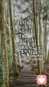 天空依然陰霾依然有鴿子在飛翔
誰來證明那些沒有墓碑的愛情和生命
雪依然在下那村莊依然安詳
年輕的人們消逝在白樺林
噩耗聲傳來在那個午后
心上人戰死在遠方沙場
她默默來到那片白樺林
望眼欲穿地每天守在那里
她說他只是迷失在遠方
他一定會來
來這片白樺林配圖