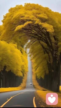 也許很遠(yuǎn)或是昨天
在這里或在對岸
長路輾轉(zhuǎn)離合悲歡
人聚又人散
放過對錯才知答案
活著的勇敢
沒有神的光環(huán)
你我生而平凡
在心碎中認(rèn)清遺憾
生命漫長也短暫
跳動心臟長出藤蔓
愿為險而戰(zhàn)
跌入灰暗墜入深淵
沾滿泥土的臉
沒有神的光環(huán)
握緊手中的平凡
此心此生無憾
生命的火已點(diǎn)燃配圖