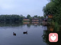 天津衛的秋天，唯有美食不可辜負，生活，一路向前！
可以揮霍悲傷的??已經過去了
?過中途
?當?切真相迎?逼來
我們其實只能 噤聲回避?
即使是?滴淚水 也成?擾
必須把柔弱的?打造成銅墻鐵壁
不泄露 也不再接收
任何與主題有關的訊息?
要到了秋深才能領會
活著 就是盛宴
?如果能夠互相告誡
讓河流與海洋從此都不起波瀾?
這天賜的余?就再?虧?
看哪 我愛 在你我的窗外
早上有霧 晚上或許有?光
?命依然豐美熱烈 運轉如常
——深秋|席慕容配圖
