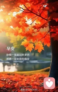 當我們在人生的旅途中感到迷茫，仿佛被無盡的黑暗所包圍，無路可走的時候，我們不應絕望，而應學會回到原點。
原點，是我們最初的起點，是我們心靈的港灣，也是我們力量的源泉。在那里，我們可以重新審視自己的內心，找到那個最初的自己，找回那份最初的夢想和熱情。
回到原點，并不意味著放棄前進，而是為了更好地出發。只有當我們真正了解自己，明確自己的方向，我們才能在人生的道路上走得更遠、更穩。配圖