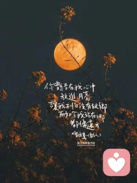 祝朋友們中秋月圓人團圓，年年今夜，月華如練，長是人千里。
——宋· 范仲淹《御歌行·秋日懷舊》
中秋的月光，總是那么柔和而明亮，如同一條潔白的綢帶，輕輕拂過人間。每年的這個夜晚，無論人們身在何處，都會抬頭仰望那輪明月，思念著遠方的親人。
那月光下的千里之遙，仿佛被拉近了距離，讓人們的心靈得以相通。愿這輪明月，能永遠照亮我們的心田，讓我們的思念與祝福，隨著月光飄向遠方。配圖