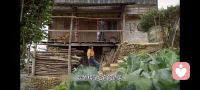 沈磊，一個有勇氣有自我的好青年！
山間的寧靜為沈磊提供了反思的空間。在高聳的山峰和清澈的河流之間，沈磊漸漸找到了久違的自由感。種菜、養花，甚至與大自然對話，這些往常被忽視的小事，竟讓他體會到了世外桃源般的寧靜和滿足。或許，真正的自由并不在于財富和地位，而在于能聽從自己內心的召喚。
從逃避到追求：沈磊的心路歷程
沈磊的離家出走并不意味著他對家庭的拋棄，反而是他對生活的一次重新審視。在田間地頭，他不再是那個為了滿足他人期待而拼命工作的小人物，而是一個勇敢追求自己幸福的人。他嘗試用耕耘大地來審視生活的意義，在豐收的季節中，體驗著生活的原味。配圖