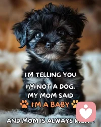 有些事情除了自己誰也不會懂，有些無奈除了沉默，誰也不能說，一個人靜靜奔潰，又慢慢自愈，時間到了，一切都會過去。配圖