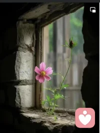 離你最近的人，影響著你的人生走向。
一個人提升自己最快的方式，就是跟比你優秀的人在一起。
他會把新的見識，新的看法，新的理念，在不經意中表達出來，然後給你帶來新的成長和進步。配圖