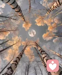 Active imaginations are more than dreams because they represent the mixing & fusing of the conscious with the unconscious. This is the solution of the opposites, the middle way. Through this you can find direction. You can find the way. Of course it tires you because you are doing a terrific piece of creative work. You are creating yourself by this. You are creating the moral solution for yourself. Go on... follow along with them & soon they will bring you to the fitting form for your unconscious.
活躍的想象不僅僅是夢想，因為它們代表著意識與無意識的混合與融合。這是對立面的解決方案，是中間道路。通過這種方式，你可以找到方向。你可以找到道路。當然，這會讓你感到疲憊，因為你正在做一件了不起的創造性工作。你正在通過這種方式創造自己。你正在為自己創造道德解決方案。繼續……跟隨它們，很快它們就會把你帶到適合你的無意識的形式。

—卡爾·榮格配圖