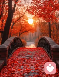 一晃又一秋，有的人再見(jiàn)，有的人再也不見(jiàn)，有的人見(jiàn)面需要坐車，有的人見(jiàn)面需要做夢(mèng)。
人這輩子總是在等，等下次，等不忙，等有條件，等有時(shí)間，等有錢了，可到頭來(lái)，等沒(méi)了選擇，等來(lái)了遺憾。
人生經(jīng)不起等待，人間的飯，吃一碗少一碗。身邊的人，見(jiàn)一面少一面。腳下的路，走一天少一天。
其實(shí)人生就是一個(gè)減法，來(lái)日並不方長(zhǎng)，一別再無(wú)歸期。
年少時(shí)，春風(fēng)得意馬蹄急，不信人間有別離，後來(lái)才發(fā)現(xiàn)，原來(lái)我們已經(jīng)和很多人見(jiàn)完了最後一面，驀然回首才明白，秋月無(wú)邊，紅塵無(wú)岸，就如這虛虛實(shí)實(shí)的人生，也無(wú)風(fēng)雨，也無(wú)晴。
酒杯太淺，敬不到來(lái)日方長(zhǎng)。巷子太短，走不到白髮蒼蒼。
不是年少守不住舊心，而是歲月慌了人心。
一輩子很短，好好珍惜愛(ài)你的人和你愛(ài)的人,因爲(wèi)人生沒(méi)有下輩子！配圖