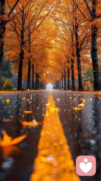 我願意為我的錯誤買單 但我不后悔 
我做的任何事情 我從不懷疑自己的眼光
如果事與願違 是我能力不夠
在不同的年紀 要演不同的自己
生活本就與眾不同 何必追求和別人一樣
生活總是來來往往 千萬別等來日方長
許多事情都無能為力 但是又不得不去面對往事 事不盡人意 堅強才是唯一 的選擇
我始終相信世間所有安排 都有它 的道理
失之東偶收之桑榆
時間讓我上了年紀 卻沒有讓我成為
一個合格的大人 人生過半我卻還在
尋找自己的路上配圖