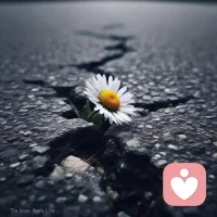 正如《肖申克的救贖》里那句經典臺詞：“有些鳥是注定無法被關在籠子里的，它們的羽毛太過鮮亮。”?
生活這面鏡子，既能映出我們的渴望，也能反映出我們的恐懼。
當你認真看清自己的時候，才會發現，很多所謂的“標準”，其實根本不重要。
重要的是，你能不能在這個快節奏的世界里，找到自己。
正如尼采的這句話提醒我們的那樣：“生活是一面鏡子，我們努力追求的第一件事，就是從中辨認出自己。”?配圖