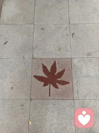 紅色之旅，香山雙清別墅！
我們終其一生，都在尋找兩個東西，一個是價值感，一個是歸屬感，價值感來自于被肯定，而歸屬感來自于被愛。配圖