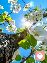 When you do something noble and beautiful and nobody noticed,  do not be sad.
For every sunrise  is a beautiful spectacle and yet most of the audience still sleeps.
當你做了一件高尚、美麗的事情，卻沒有人注意到時，不要難過。
每一次日出都是一道美麗的風景，但大多數觀眾仍在睡覺。
——約翰·列儂配圖