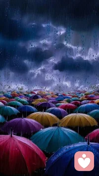 咨詢感悟:在這個平臺上，總能遇到有趣的人，大姐就是這樣一個，期待她的測算報告。
每個人的命，都是有定數的，這定數便是生與死。
然而，在這生與死之間，卻有著無數可能的變數。
我們所能做的，就是在這無數個可能中，尋找那個最有可能成功的方向，然后全力以赴。
這樣，即便最終的結果仍是由命運決定，但至少我們努力過，拼搏過，不留遺憾。
每個人的命數或許早已注定，但我們的選擇和努力，卻能讓它煥發出不同的光彩。
所以，不要為命運而嘆息，不要為定數而悲觀。
我們只需做好自己的本分，珍惜每一個當下，努力追求自己的夢想。
只有這樣，我們才能在命運的定數中，找到屬于自己的變數，活出自己的精彩。配圖