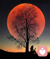 用羅伯斯庇爾的話來說，世俗好似一把“無形而堅固的枷鎖，且它比有形的枷鎖堅固得多。不打碎它，我們永遠(yuǎn)也無法獲得成功。”
世俗在我們的一生中可謂無處不在——世俗上的成功總在逼著你努力奮斗，賺無數(shù)錢，擁有數(shù)不盡的鮮花和掌聲；世俗上的觀念總在推著你走，從眾地走，不允許越雷池半步等等。
世俗永遠(yuǎn)都在裹挾著我們，綁架著我們。于是我們常常忘記：突破世俗的枷鎖往往是成功的第一步。
然而我想說，世俗的標(biāo)簽，向來就烙印著傷疤。它從不關(guān)心你自己想要什么，也從不理解你自己對生活的看法和期待，它總是在以自己高懸的所謂仁義來糟蹋你。
可是我想：我們應(yīng)該是自由的、應(yīng)該是獨立勇敢不受束縛的。
所以最后，請你對自己的人生自由創(chuàng)作！配圖