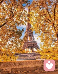 百分之九十九的人跟隨市場(chǎng)，
只有百分之一的人創(chuàng)造市場(chǎng)，
然而我們把那百分之一的人視為神般的推崇吹捧，
其實(shí)他們只是做了自己想做的事。
         朱德庸配圖