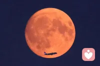 感覺(jué)到自己的生活，
自己的反抗，
自己的自由，
感覺(jué)越多越好，
這就是生活，
生活得越充實(shí)越好。
——加繆《西西弗神話》
有一位老師總是跟他的學(xué)生說(shuō)：按部就班就是偉大。
我腦子里常會(huì)有意無(wú)意地想：什么是按部就班？漢語(yǔ)辭典里的解釋是：按照一定的步驟，順序前進(jìn)，也指按老規(guī)矩辦事。
按照這個(gè)解釋，那我們所有人都在按部就班。按部就班地上學(xué)下學(xué)，按部就班地上班下班，我們都偉大至極。
可是我不喜歡這樣一成不變的按部就班，我覺(jué)得生命如山，得有起落和平仄，否則就會(huì)了無(wú)生趣。
我更期待我們同加繆寫(xiě)的那樣，去感覺(jué)自己的生命和生活。我總覺(jué)得感覺(jué)到的東西越多，一個(gè)人的生命就越是鮮活。
毛姆說(shuō)：“一個(gè)人能觀察落葉，鮮花，從細(xì)微處欣賞一切，生活就不能把他怎么樣?！?盡管我們所有人共活在一個(gè)世界上，但我們必須承認(rèn)：那些善于去愛(ài)、去感知的人，往往活得更為豐盛。
按部就班之余，期待大家走走看看，哪怕是一個(gè)你每日都經(jīng)過(guò)的地方，其實(shí)不經(jīng)意間，很多不朽的美好早已生長(zhǎng)出了。配圖