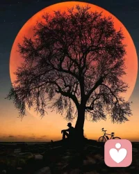 花兩年時間來想通一件事其實
并不算浪費時間。
要把之前的那些習慣改掉，
先全心全力地記取教訓，
然后再耐心地去學習。
——加繆《加繆手記》
比較25歲和32歲的加繆，我們不難看到他的成長。七年間，他說他不再否認什么，對一切事物都能加以肯定。
我們通常都覺得成長這件事情本身是一種饋贈，因為提及成長，大家都習慣性地說我收獲了什么，領悟到了什么。
其實我們忽略了成長本身也是一種失去。在獲得一些真理性認識的路上，我們付諸勇氣、時間、腦力、還有一些能量。
所以，或許我們想通一件事情，明白一個道理也需要七年十年甚至更久，但我們卻不能說這是在浪費時間。
總而言之，人生是一場持久且不輕松的拼搏，不論前路是開滿鮮花還是布滿泥濘，就算沒有了一切，我們都得一步步向前邁進。
同樣的，不論獲得真知的路途多么漫長，我們都得為之花費時間，花費精力。配圖