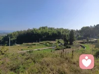 It’s not about how long or how short we’ve loved—it’s about the fact that we loved at all. Whether love lasted a lifetime or just a fleeting moment, what matters most is that we allowed ourselves to feel, to give, and to share our hearts with someone else.

Love, in any form, is a gift. It changes us, shapes us, and leaves its mark on our souls. So, don’t measure love by time; measure it by the depth, the sincerity, and the courage it took to give your heart.
Because in the end, the fact that we loved at all is what truly counts. 
這不是關于我們愛了多久或有多短，而是關于我們是否愛過的事實。無論愛持續一生還是一瞬間，最重要的是我們允許自己感受，給予，并與他人分享我們的心。

愛，無論以何種形式，都是一份禮物。它改變我們，塑造我們，在我們的靈魂上留下印記。所以，不要用時間來衡量愛；用它的深度、真誠和勇氣來衡量它。
因為歸根結底，我們愛的事實才是真正重要的。
-credit to the rightful owner配圖