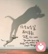 這世界上的久處不厭，都是因為用心.
在時光的長河中，我們與某些人相遇、相知，并攜手走過漫長的歲月。正是因為彼此都付出了真心，用心去感知對方的喜怒哀樂，去體諒對方的不易與艱辛，才能讓這份情誼在歲月的洗禮下愈發堅韌。用心，是情感的紐帶，是相處的藝術。它讓我們在平凡的日子里，發現彼此的美好與獨特；在紛擾的世事中，堅守內心的純凈與善良。愿我們都能用心去經營每一段關系，讓久處不厭成為生命中最美的風景。配圖