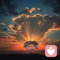 《 生活可以很豐富 》
不要在埋怨嘆氣裡過日子，
山不轉(zhuǎn)、路可以轉(zhuǎn)…..
也許經(jīng)常容易抱怨，
為什麼我還沒有成功？
為什麼還沒有遇見對(duì)的人？
為什麼事事總不如意…..
人生是一場(chǎng)厚積薄發(fā)的旅程，
從播種到收穫，總得經(jīng)歷一段時(shí)間。
如果心願(yuàn)沒有立刻實(shí)現(xiàn)，
也許是時(shí)機(jī)未到，也許是修行不夠，
但只要不放棄，不逃避，
該來的，遲早都會(huì)來，
總有一天會(huì)如願(yuàn)以償。
我們要做的，
就是多行善事，繼續(xù)努力，
過好當(dāng)下，靜待花開。配圖