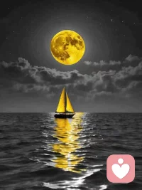 開心^_^在平臺認識的來自美國的第五位朋友，人生就是一個不斷認識自己的過程，承認人生終究是孤獨但同時意識到人可以不孤單，可以找到同頻的人一起去看星辰大海一起去奔赴人生新的綻放！
I may not be the best... but I sure do make a difference. I maybe too much for some.. little for others.
But I'm enough for myself.
Because my image is you who make it; but my life is me who lives it.... 配圖