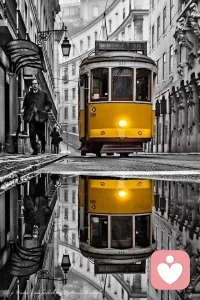 多少已散的宴席，
是望不到深情而后會無期，
多少擦肩的緣分，
是得不到在乎而悄然離去，
人心都是相對的，以真換真，
感情都是相互的，用心暖心。
?? ???????? ?????? ?????????? ?????????? ??????配圖