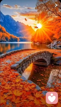 - Your family doesn't know how much difficulties and pressure you go through in your daily life or in your job.
- And your work doesn't know the circumstances of your life and your home.
- Your colleagues, your friends and loved ones will not understand the size of the new and old responsibilities that are above you.
Bottom line nobody feels for you but yourself. No one will understand what you're really going through and they most likely don't appreciate efforts.
Just keep on keeping on... Fight... take care of yourself.
- 你的家人不知道你在日常生活中或工作中經歷了多少困難和壓力。
- 你的工作不知道你的生活和家庭情況。
- 你的同事，你的朋友和親人不會理解你身上新舊責任的大小。
底線是，除了你自己，沒有人關心你。沒有人會理解你真正經歷的事情，他們很可能不會欣賞你的努力。
繼續堅持...戰斗...照顧好自己。配圖