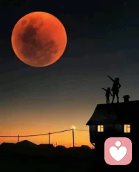 人的發展是‘階梯式’的：在相當長一段時間內，人的心理機構、認知能力都出在穩態當中，想要‘越級發展’往往只是徒勞；而一旦進入特定的階段，比如青春期，各種變化會‘突飛猛進’地產生，想攔也攔不住。一代一代的人，就是這樣成長起來的。
當我們自己正在經歷這一個個“階梯式”發展階段的時候，有時候我們會覺得是危機、是挑戰，我們會感受到非常的不舒適，但是當你有這樣情緒的時候，請同時也保有這樣的一個想法就是 —— 我的各方面都要開始升級了，我就要發展出新的技能了。
所以回過頭來看，有些人可能在一年年的升級中，在一次次的轉變中，早已發展出非常多的辦法，足以應對很多事情，但是他自己內心可能還沒有真正的意識到這些改變對自己的影響，心里總覺得自己還是以前那個沒有太多辦法的人。
其實，你已經長大了，變得更有辦法了，很多以前你總以為是問題的問題，可能早已不再是問題了。配圖