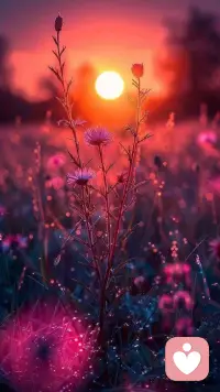 You’ve gotta start romanticizing your life. You gotta start believing that your morning commute is cute and fun, that every cup of coffee is the best you’ve ever had, that even the smallest and most mundane things are exciting and new. You have to, because that’s when you start truly living. That’s when you look forward to every day. 
“你必須開始浪漫化你的生活。你必須開始相信你的晨間通勤是可愛和有趣的，每一杯咖啡都是你喝過的最好喝的，即使是最小和最平凡的事情也令人興奮和新鮮。你必須這樣做，因為那才是你真正開始生活的時候。那才是你期待每一天的時候。”配圖